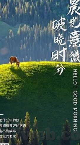 比分直播足球比分直播-实时比分直播，足球迷的激情心跳与战术解码器