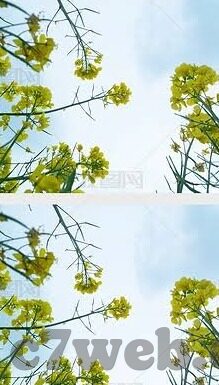 足球比赛比分计算-足球比赛比分计算，规则、方法与意义解析