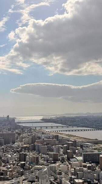 足球娱乐比分网-足球娱乐比分网，绿茵场外的数字狂欢与激情盛宴